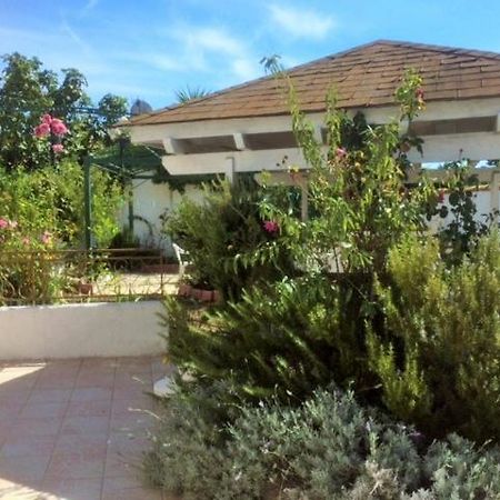 Appartement 3 Chambres Proche Mer Entre Palavas Les Flots Et Frontignan Plage Dans Maison Avec Jardin Villeneuve-les-Maguelonne Luaran gambar