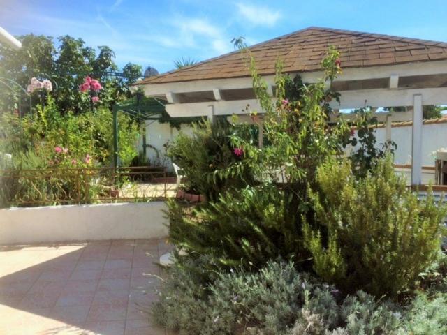 Appartement 3 Chambres Proche Mer Entre Palavas Les Flots Et Frontignan Plage Dans Maison Avec Jardin Villeneuve-les-Maguelonne Luaran gambar